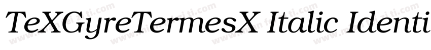 TeXGyreTermesX Italic Identity H字体转换
